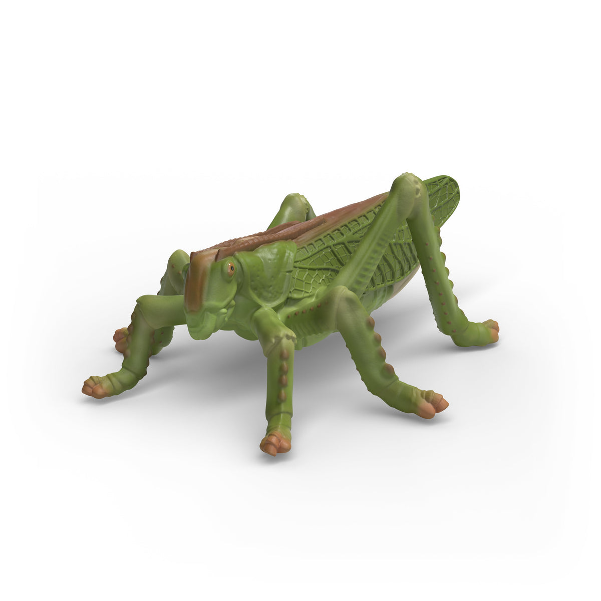 Schleich Insekten Entdecker Set 42741