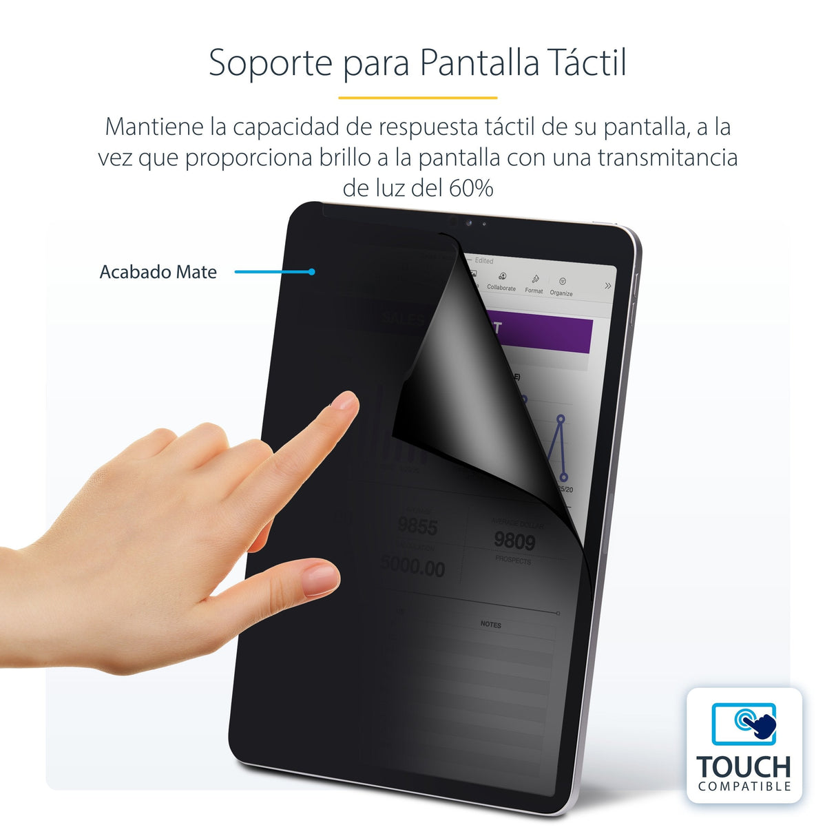 Startech.Com Protector De Pantalla Para Tableta For Portrait/Landscape Touch-Enabled +/-30° View Blocks Up To 51% Blue Light Matte Con Filtro De Privacidad 4 Vías 12.9" Negro Para Apple Ipad Pro De 12 9" (3ª Generación 4ª Generación 5ª