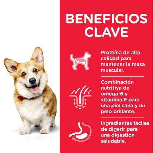 Alimento Seco Para Perros Hill'S Science Plan Adult Small & Mini  6 Kg