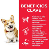 Alimento Seco Para Perros Hill'S Science Plan Adult Small & Mini  6 Kg