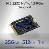 256gb Ssd M.2 2230 Nvme 1.4 Pcie Gen3x4 R-3000mb/S W-1800mb/S Tlc Tbw 185 Integral
