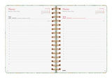 EAN 8422952405542 - Finocam 760063026 agenda Agenda semanal Verde, Multicolor imagen 5