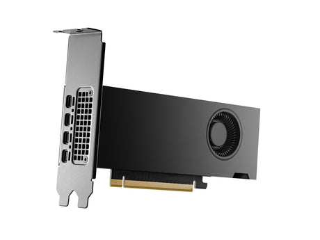 EAN 3536403398941 - PNY RTX2000 Ada NVIDIA RTX 2000 Ada 16 GB GDDR6 imagen 2