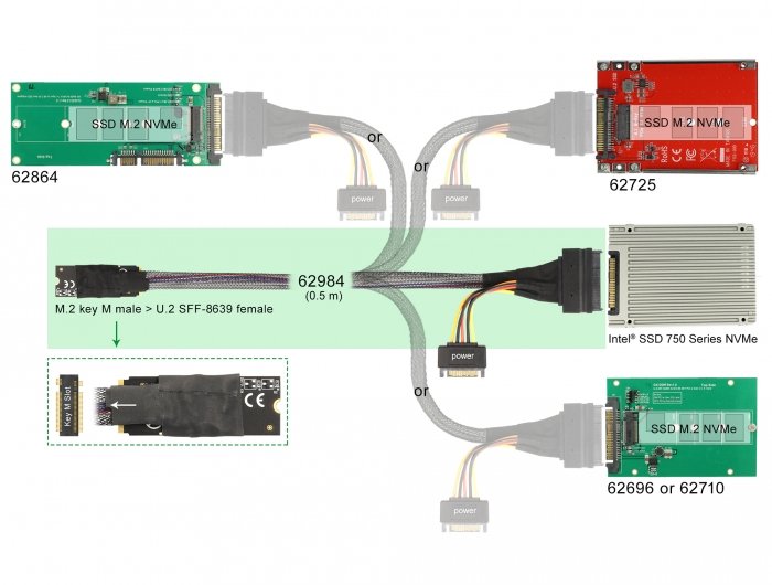 Delock Adaptador M.2 Key M A U.2 Sff-8639 Nvme Con Cable De 50 Cm