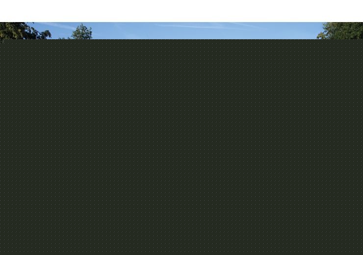 Lena Powerful Giants Fir E Brigade Crane Arocs