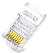 Wp Wpc-Mdp-883-6up-R50t Conector Rj-45 Transparente
