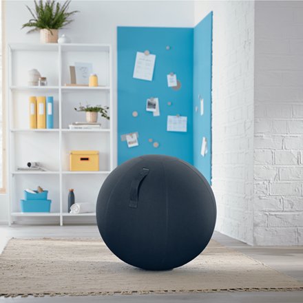 Leitz Ergo Cosy Seat Ball Gris