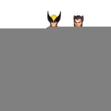 Figura Hasbro Marvel Legends Series Secret Wars Wolverine