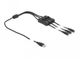 Delock Cable Usb Typ-A Stecker Zu 3 X Dc 5,5 X 2,1 Mm Buchse Mit Schalter 1 M
