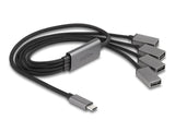Delock 64210 Hub 4-Port Usb  2.0 Cable Usb-C 60cm