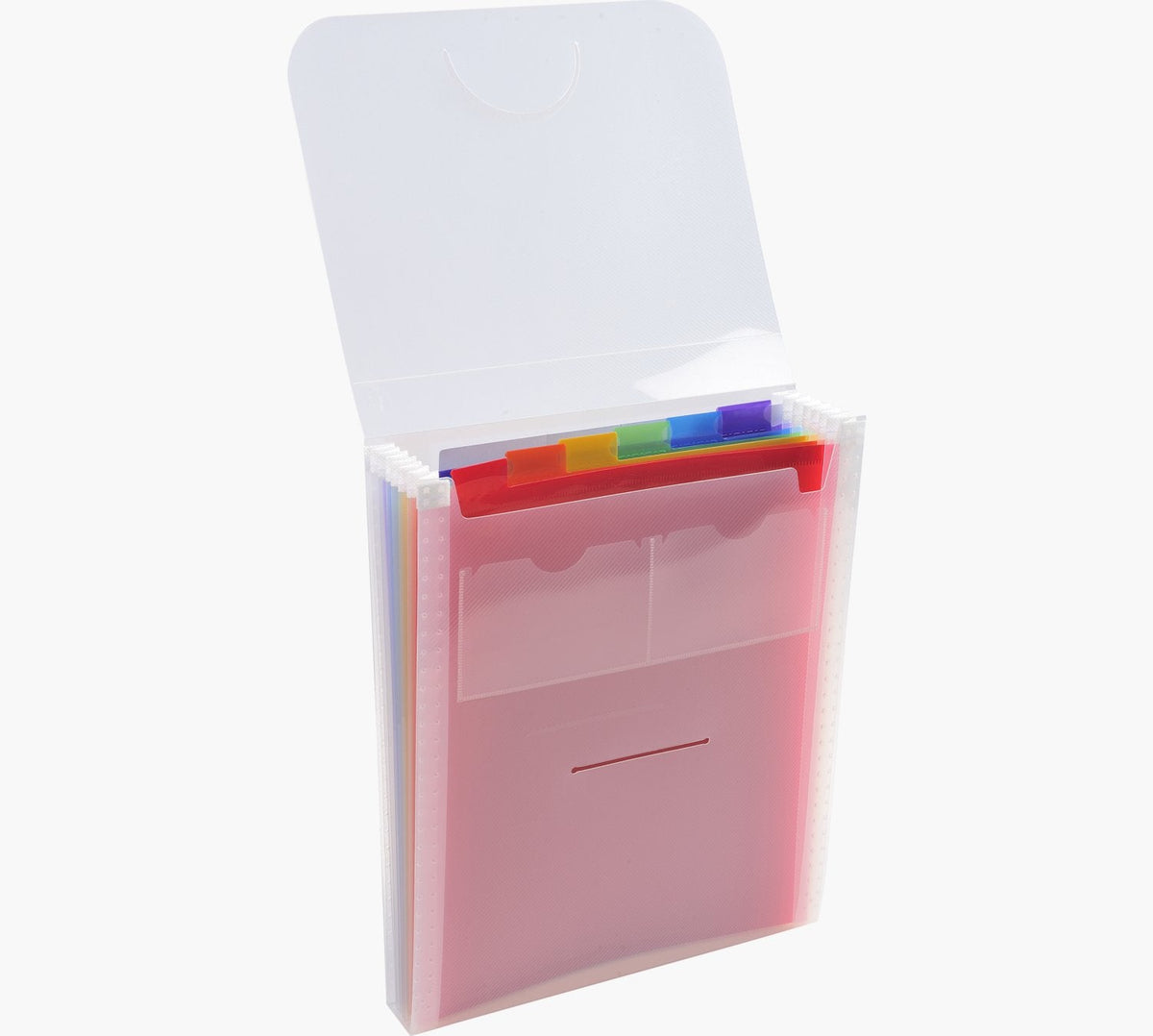 Exacompta Carpeta Con Compartimentos Crystal, A4, 6 Compartimentos