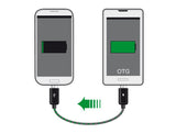 EAN 4043619835706 - DeLOCK 83570 cable USB USB 2.0 0,3 m USB B Negro imagen 2