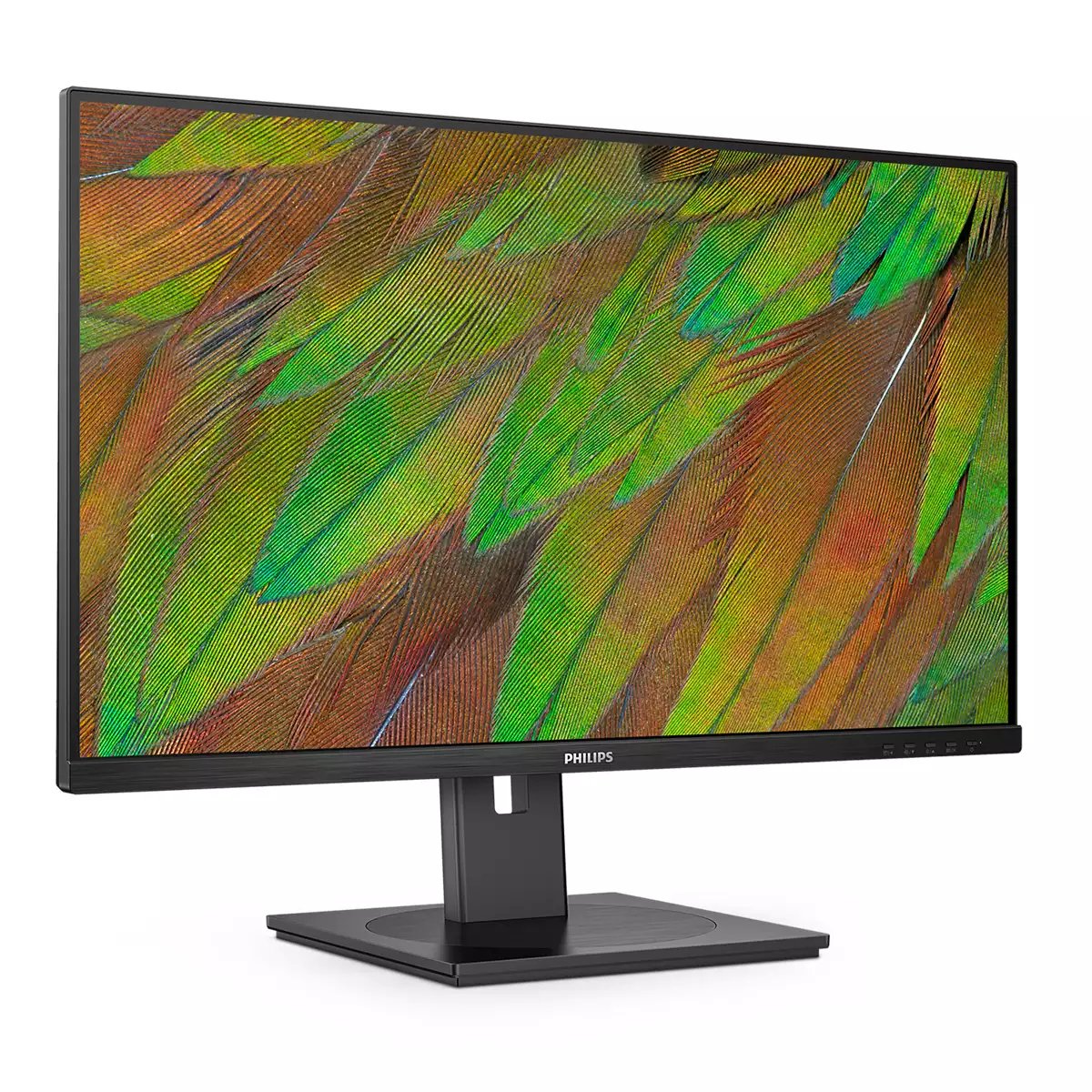 EAN 8721038001211 - Philips 3000 series 32B1U3900/00 pantalla para PC 80 cm (31.5") 3840 x 2160 Pixeles 4K Ultra HD LCD Negro imagen 7