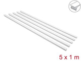 Delock Canaleta Para Cables Autoadhesivo Con Schiebedeckel 25 X 10 Mm - Longitud 1 M Pack De 5 Blanco