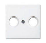 EAN 4011395190746 - Busch-Jaeger 1724-0-4334 placa de pared y cubierta de interruptor Blanco imagen 1