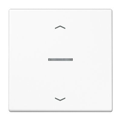 Jung Btls17101pww Jung Home Taster 1fach Mit Pfeilsymbolen