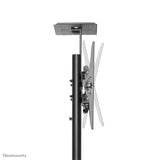 Newstar Soporte De Suelo Móvil Para Tv