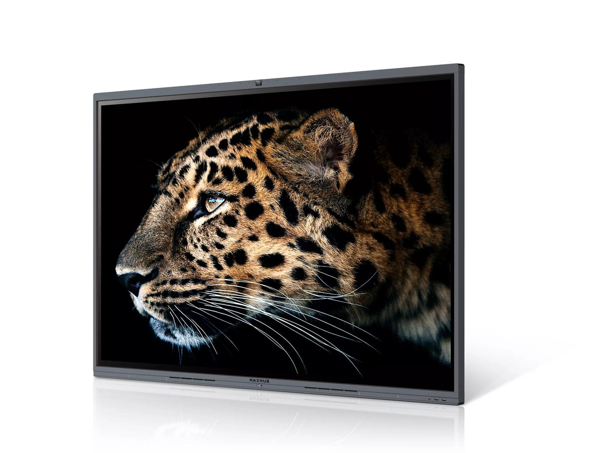Pantalla Videoproyeccion Maxhub 75  C7530
