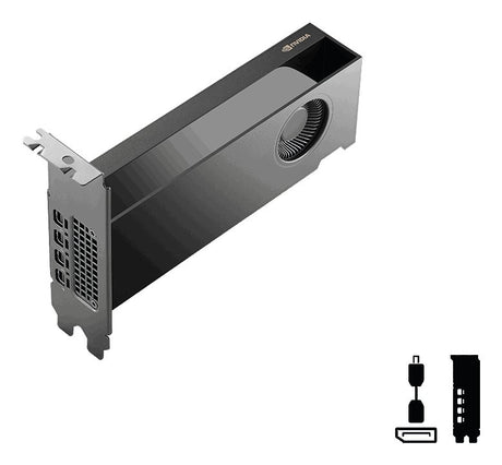 EAN 3536403404116 - PNY RTX PRO 2000 Blackwell NVIDIA 16 GB GDDR7 imagen 5