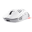 EAN 8713439253900 - Trust GXT 929 Helox ratón Juego mano derecha RF inalámbrico Óptico 4800 DPI imagen 1