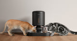 Petlibro Granary Wifi Dual Food Tray Negro