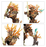 Warhammer Aos - Battleforce Sylvaneth Sylve De Fortesouche