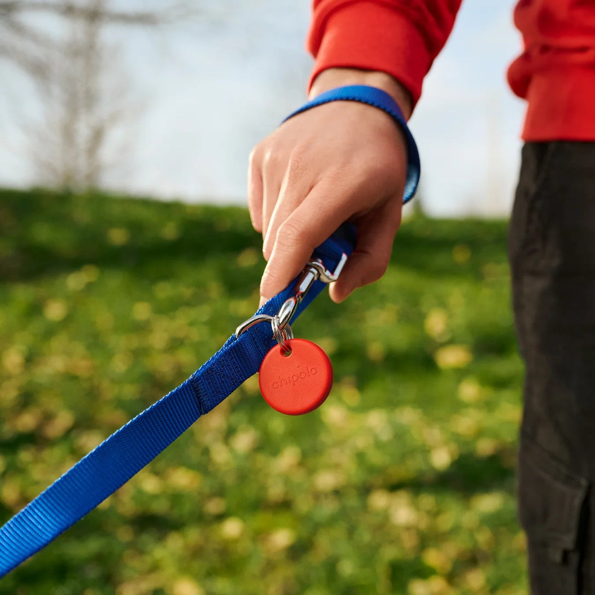 Chipolo Pop - Tracking Tag Compatible With Apple Find My On Iphone Or Find Hub On Android (Green)