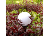 Greenblue 46572 Alumbrado De Sobremuro/Pie Para Exterior Led