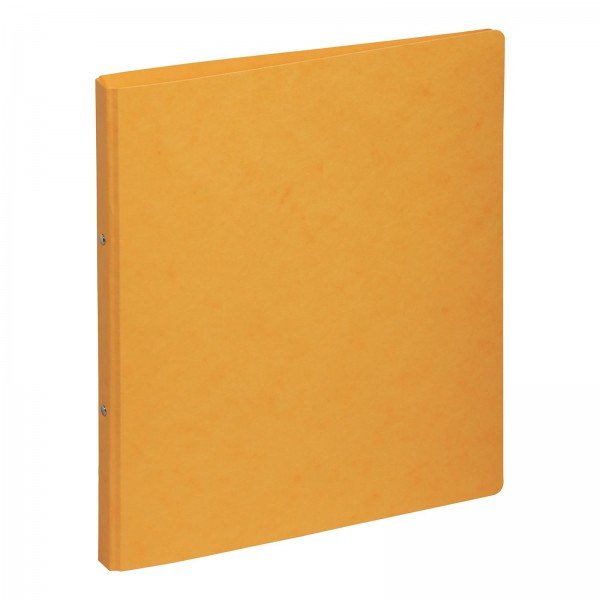 Pagna 44096-05 Carpeta De Cartón A4 Amarillo