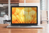 3m Bp145w1b Blickschutzfilter 14,5  Bright Screen Laptop 16:10