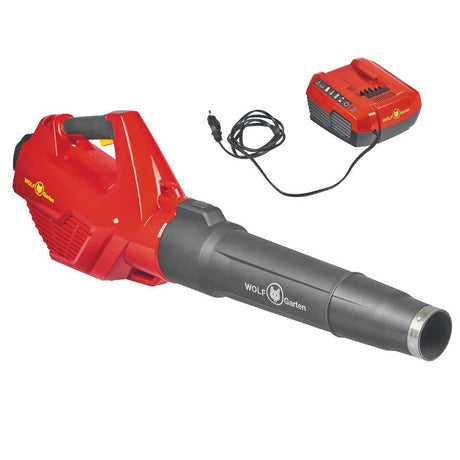 EAN 4008423913583 - WOLF-Garten 41AS4BD-650 soplador de hoja 40 V 240 kmh imagen 1