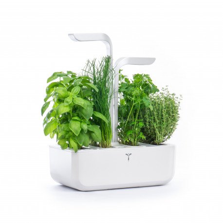 Véritable Classic Selbstversorgender Indoor-Garten