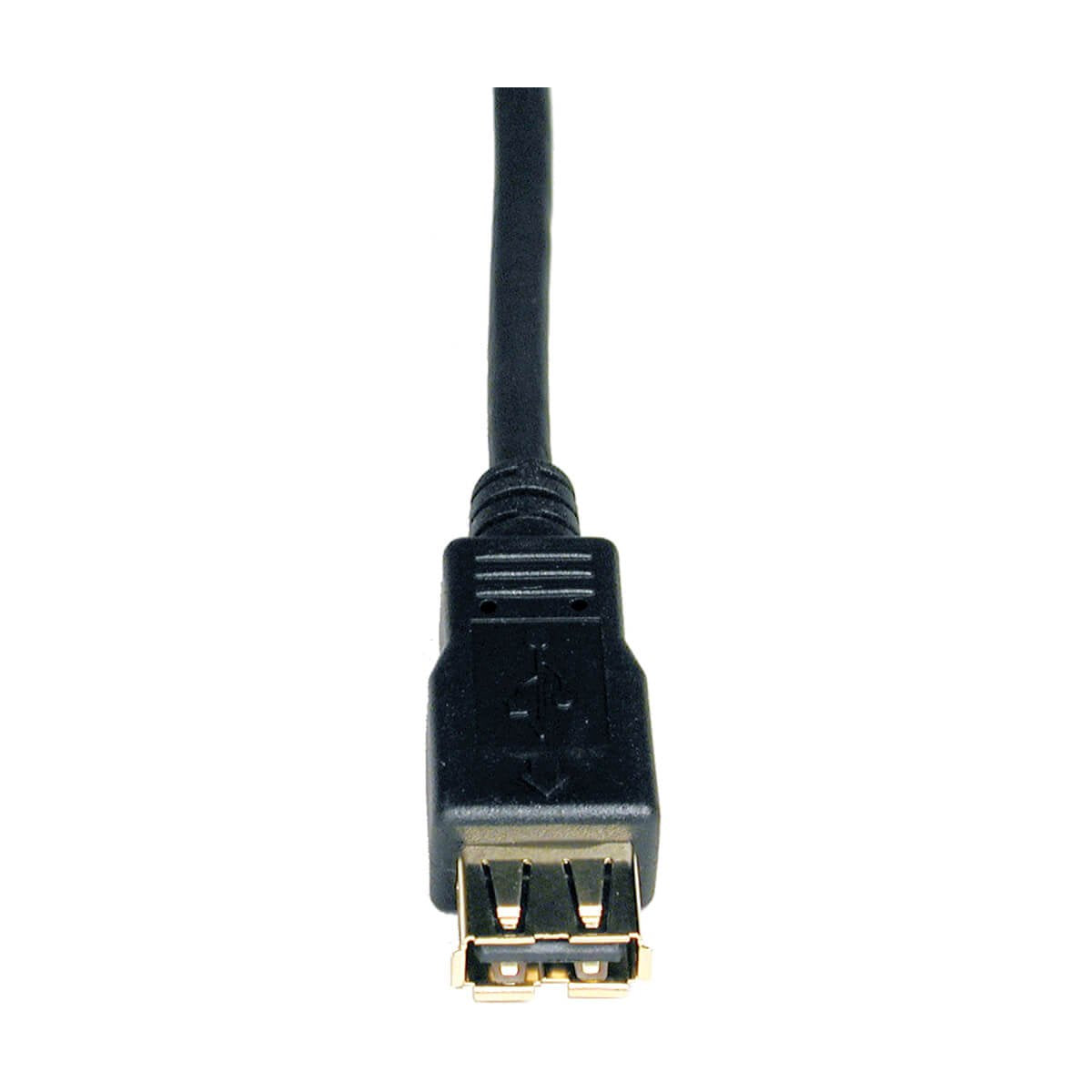 Eaton Tripp Lite Exte Cable A M/F 6ft
