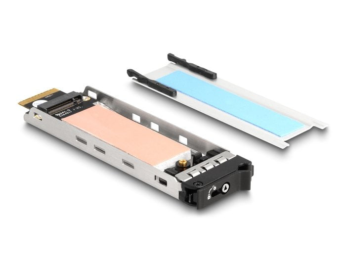 Delock 47028 Tarjeta Pci Express De Marco Extraíble Delock Para 1 X M.2 Nmve Ssd, Tarjeta De Interfaz 47028
