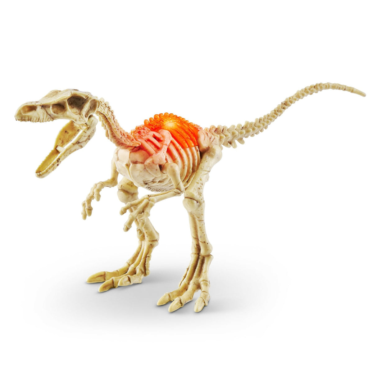 Zuru Robo Alive - Mini Dino Fossil Find, Artículo Ordenado De Figura, Una Figura 71115tq2