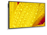 M501-2, 50" M-Series, Lfd,  Uhd 3840x2160, 500cd/M2,