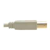 Usb 2.0 A To B Cable (M/M),  Beige, 6 Ft. (1.83 M)