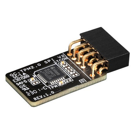 EAN 4719331855482 - GIGABYTE GC-TPM 2.0 SPI V2 imagen 1