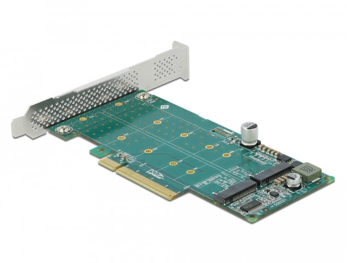 Delock Tarjeta Pci Express - 2x M.2 Key M