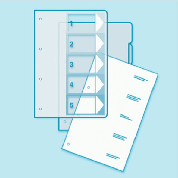 Esselte Leitz Pc Printable Index - 6 Tarjeta(N) Karteikarten