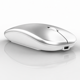 Raton Inalámbrico Recargable 2 En 1 Bluetooth + Usb 2.4g 1600 Dpi Ergonómico Plata
