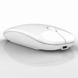 Raton Inalámbrico Recargable 2 En 1 Bluetooth + Usb 2.4g 1600 Dpi Ergonómico Blanco