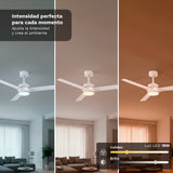 Ventilador De Techo Grunkel Skyeasy52 30w 3 Aspas 132cm 6 Velocidades