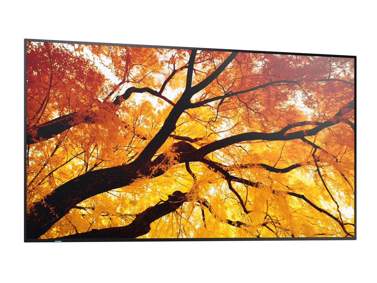 EAN 4550556176682 - Sharp MultiSync M322 Pantalla plana para señalización digital 81,3 cm (32") LCD 550 cd / m² Full HD Negro imagen 8