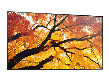EAN 4550556176644 - Sharp MultiSync PN-M752 189,2 cm (74.5") LED 550 cd / m² 4K Ultra HD Negro 24/7 imagen 11