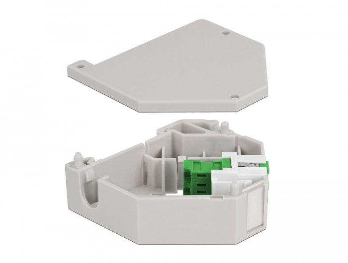 Delock Hutschienenadapter Mit Keystone Lc Duplex Buchse Zu Lc Duplex Buchse Grün