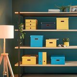 Pudlacs Cosy M Azule