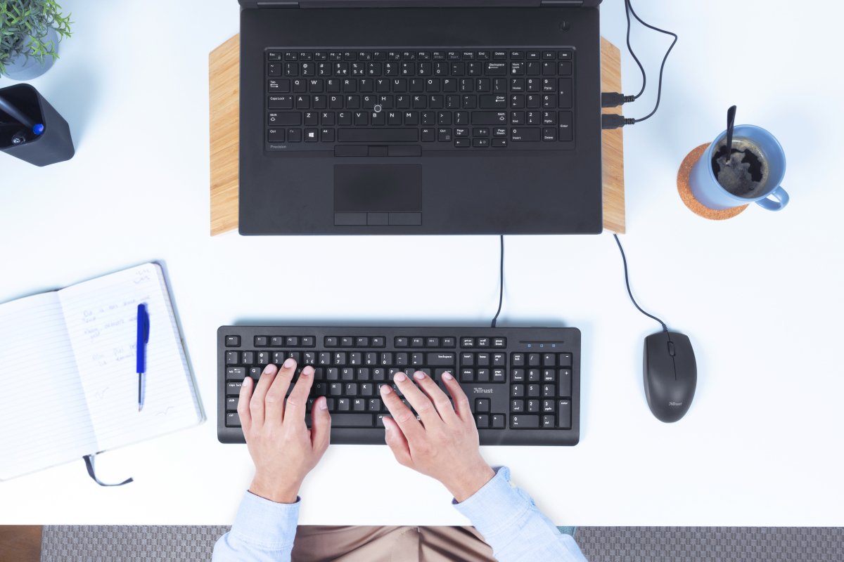 Teclado Español Trust Primo Usb Teclas Silenciosas Negro 23883