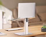 EAN 8716309127738 - Gembird NBS-D1-02 soporte para ordenador portátil Plata 39,6 cm (15.6") imagen 13