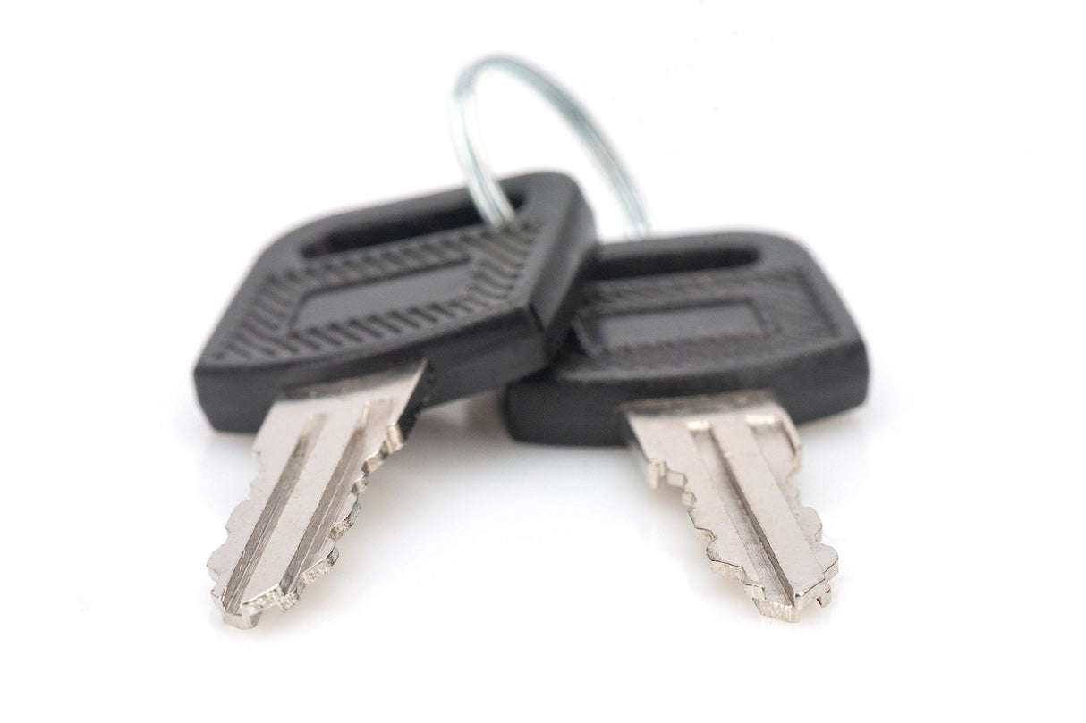 EAN 4016032490517 - Digitus DN-KEY-WM accesorio de bastidor Llave de cierre imagen 2